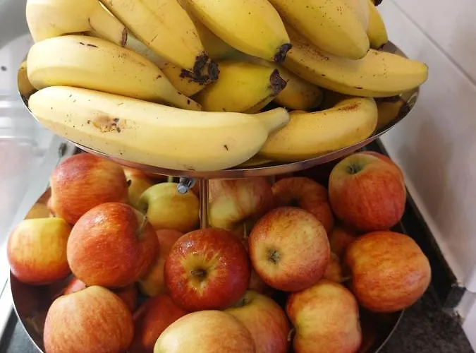 Cvjm Freizeithaus Ms Waterdelle Хостел Боркум